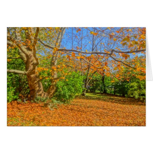 Time to Rake! Cards (Front Horizontal)