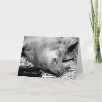 Time to Relax Pig - Blank Retirement Card