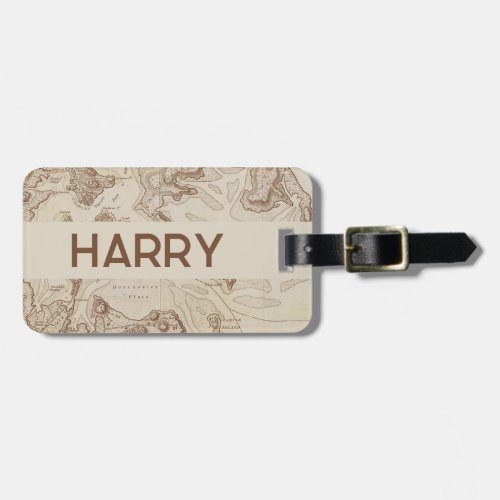 Time to see the World  Luggage Tag