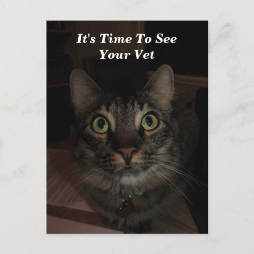 Time To See Your Vet Reminder Postcard