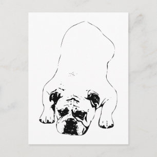 Time to Unwind Postcard