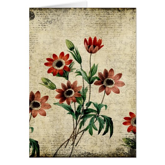 Timeless Anemones Cards (Front)