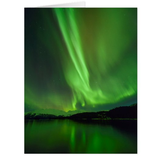Timeless Aurora Cards (Front)