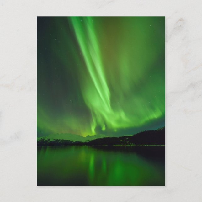 Timeless Aurora Postcard (Front)