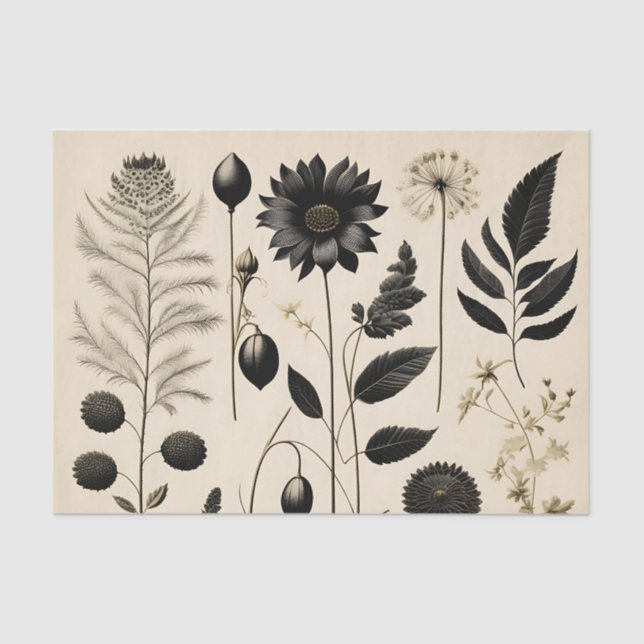 Timeless Floral Botanical Tissue Paper (Front)