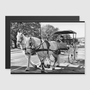 Timeless Journey Magnetic Card