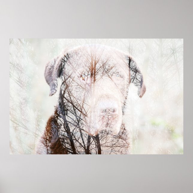 Timeless Journey Poster (Front)