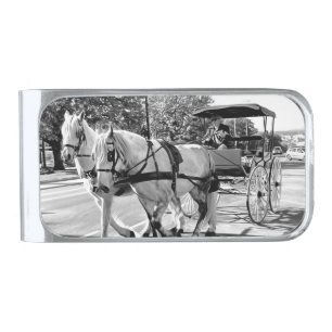 Timeless Journey Silver Finish Money Clip