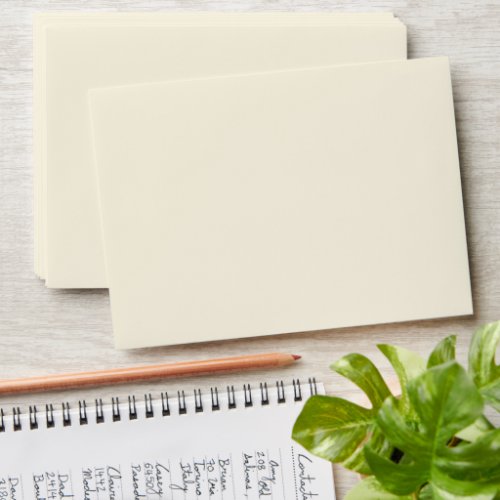 Timeless _ Minimalist Cream White Envelope