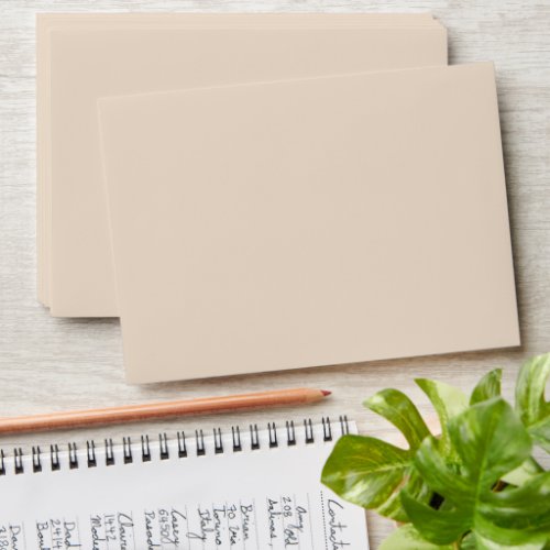 Timeless _ Minimalist Pastel Ivory Envelope