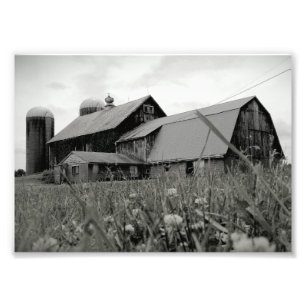 Timeless Photo Print