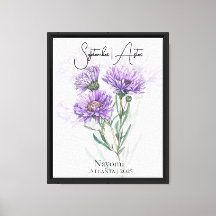 Timeless September Aster Birth Flower Illustration