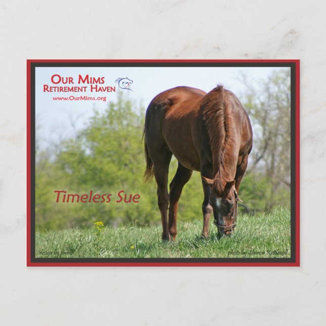 Timeless Sue Postcard (Front)