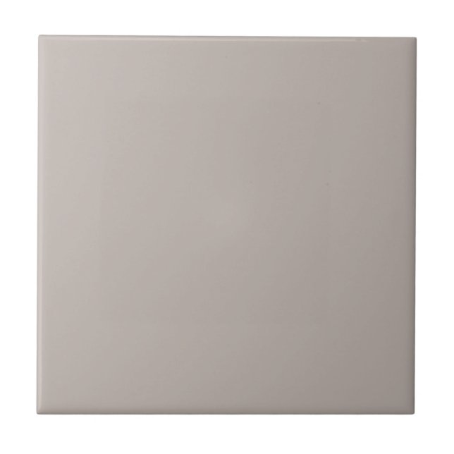 Timeless - Warm Gray Ceramic Tile (Front)