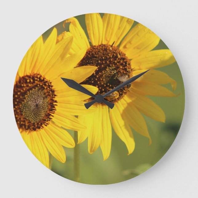 Timeless Wild Sunflowers and Bees  Large Clock (Front)