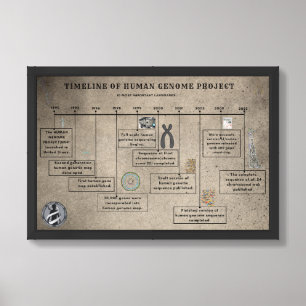 Timeline of human Genome project    Framed Art