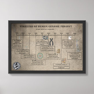 Timeline of human Genome project |  Framed Art