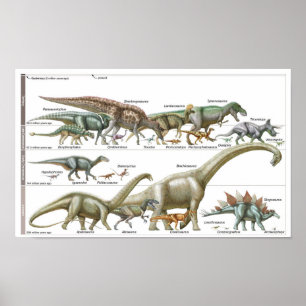 Timeline of the dinosaurs Jurassic Biology Poster