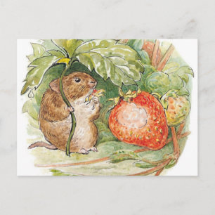 Timmy Willie Mouse - Beatrix Potter Postcard