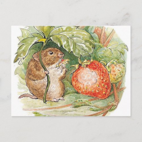Timmy Willie Mouse _ Beatrix Potter Postcard