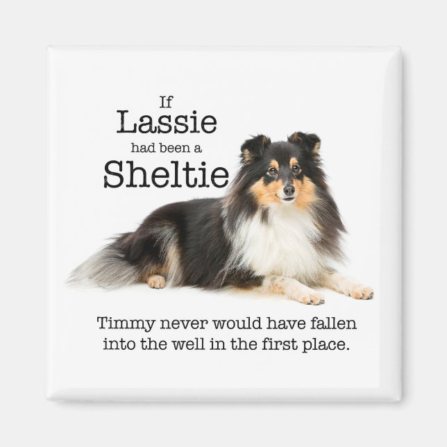 Timmy's Tri-Color Sheltie Magnet (Front)