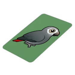 Timneh African Grey 4