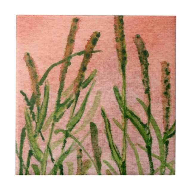 Timothy grass hay close up ceramic tile. tile (Front)