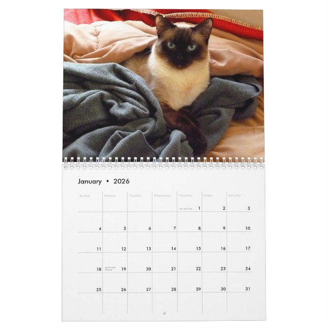 Ting Ting the Siamese Cat Calendar (Jan 2026)