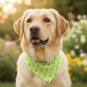 Tinker Bell Pet Bandana Collar