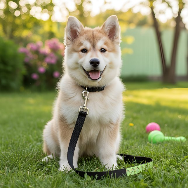 Tinker Bell Pet Leash (Creator Uploaded)