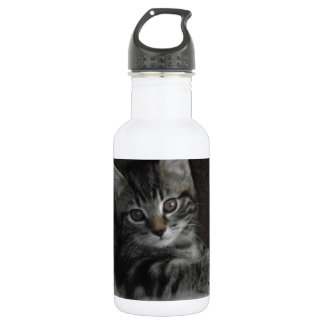 Tinker Kitten Water Bottle