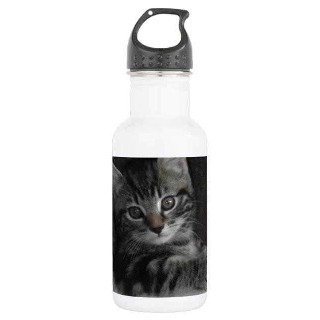 Tinker Kitten Water Bottle (Front)
