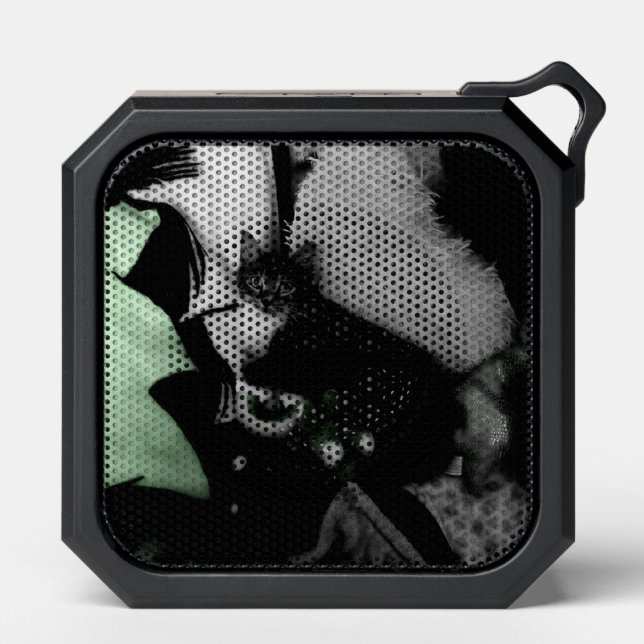 Tinkerbell the cat popin bluetooth speaker (Front)