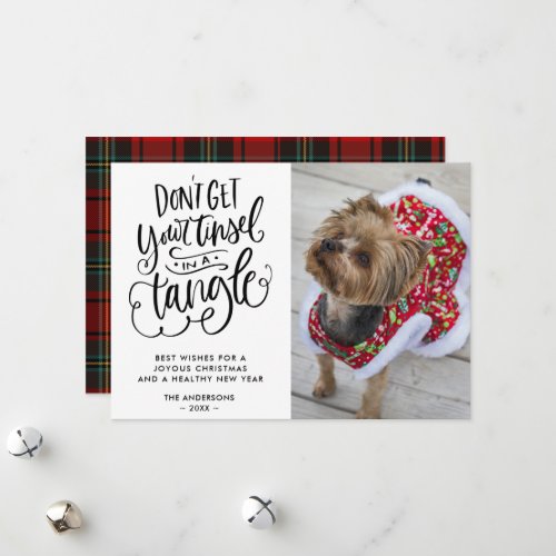 Tinsel in a Tangle Funny Dog Pet Photo Christmas Holiday Card