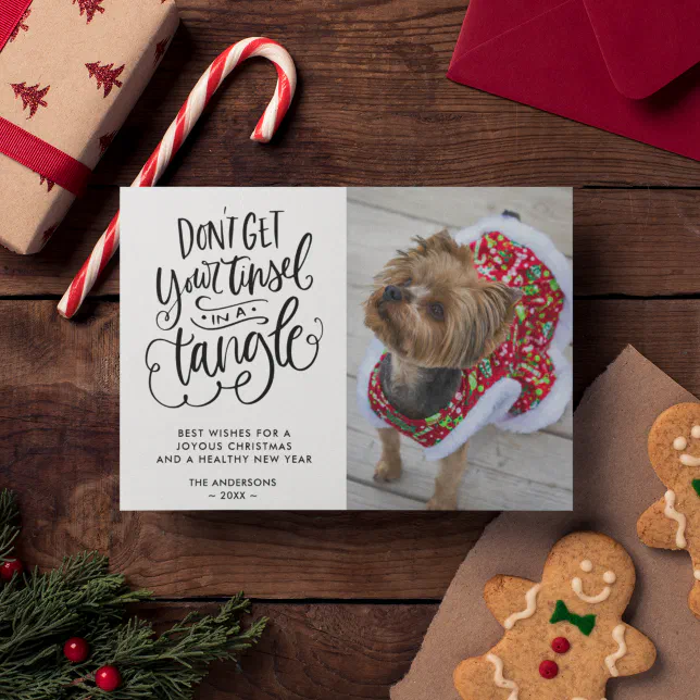 Tinsel in a Tangle Funny Dog Pet Photo Christmas Holiday Card | Zazzle