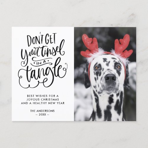 Tinsel in a Tangle Funny Dog Photo Christmas Holiday Postcard