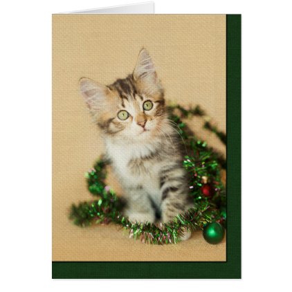 Tinsel Kitten Card