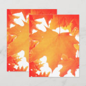 Tinted Orange Maple Leaf (Front/Back)