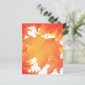 Tinted Orange Maple Leaf (Standing Front)