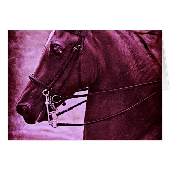 Tinted Saddlebred Cards (Front Horizontal)