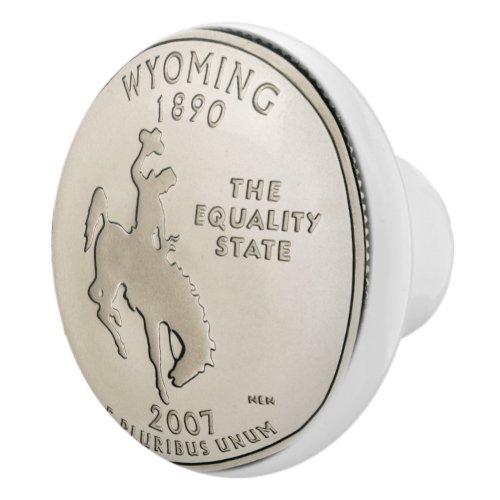 Tinted Wyoming State Quarter Design   Ceramic Knob