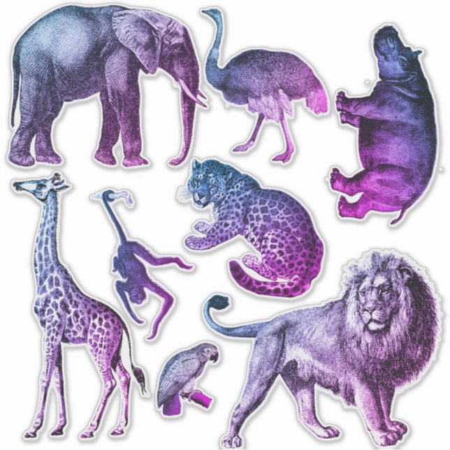 Tinted Zoo Animals Sticker Set (Front)