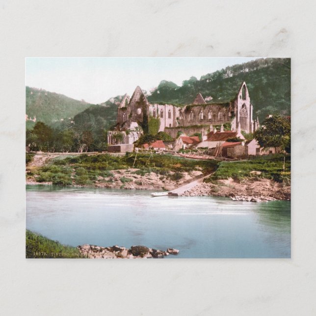 Tintern Abbey Postcard (Front)