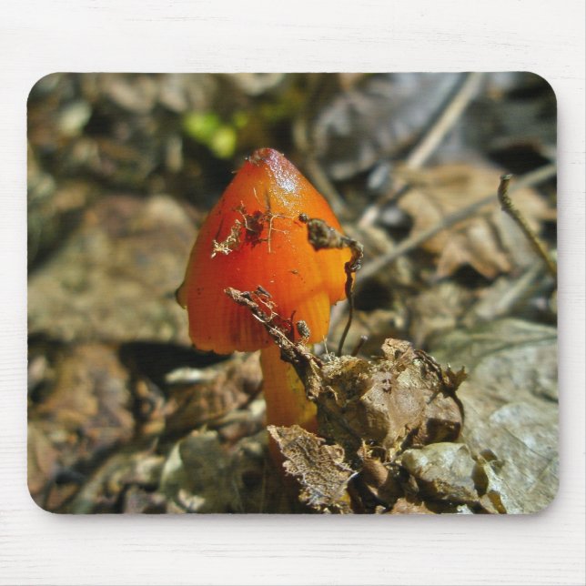 Tiny Amberina Cone Cap Mushroom Mousepad (Front)
