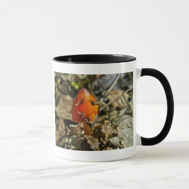 Tiny Amberina Cone Cap Mushroom Mug (Right)