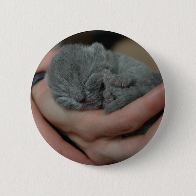 Tiny Baby Blue Kitten Button (Front)