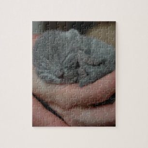 Tiny Baby Blue Kitten Jigsaw Puzzle