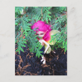 Tiny Bear Bracken, Asian Ball-Jointed Doll Postcard