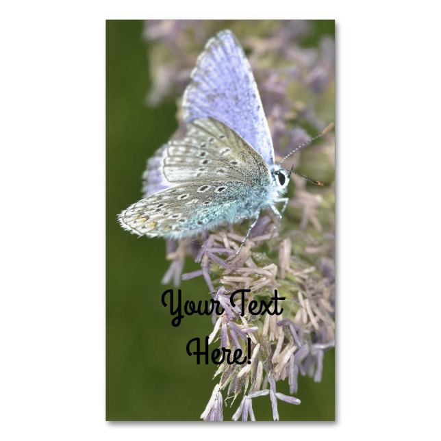 Tiny Beauty Business Card Magnet (Front Vertical)