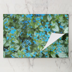 Tiny Blue Brunnera Flowers Paper Placemats
